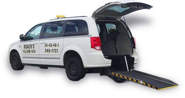 about-roachs-taxi